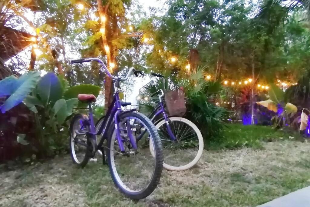 Dk31 Wifi 600Mb, Cheap Scooters By Moikkarentals Tulum Exterior foto